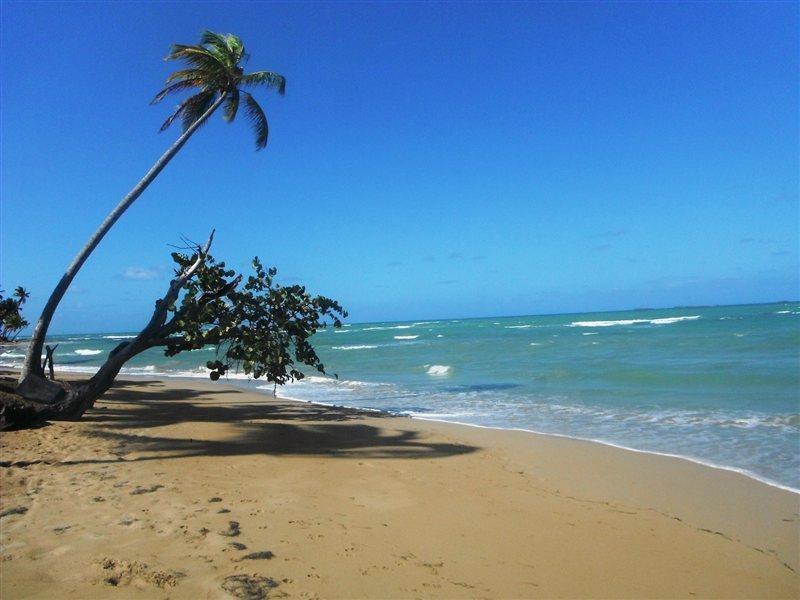 Hotel Punta Bonita Las Terrenas Kültér fotó